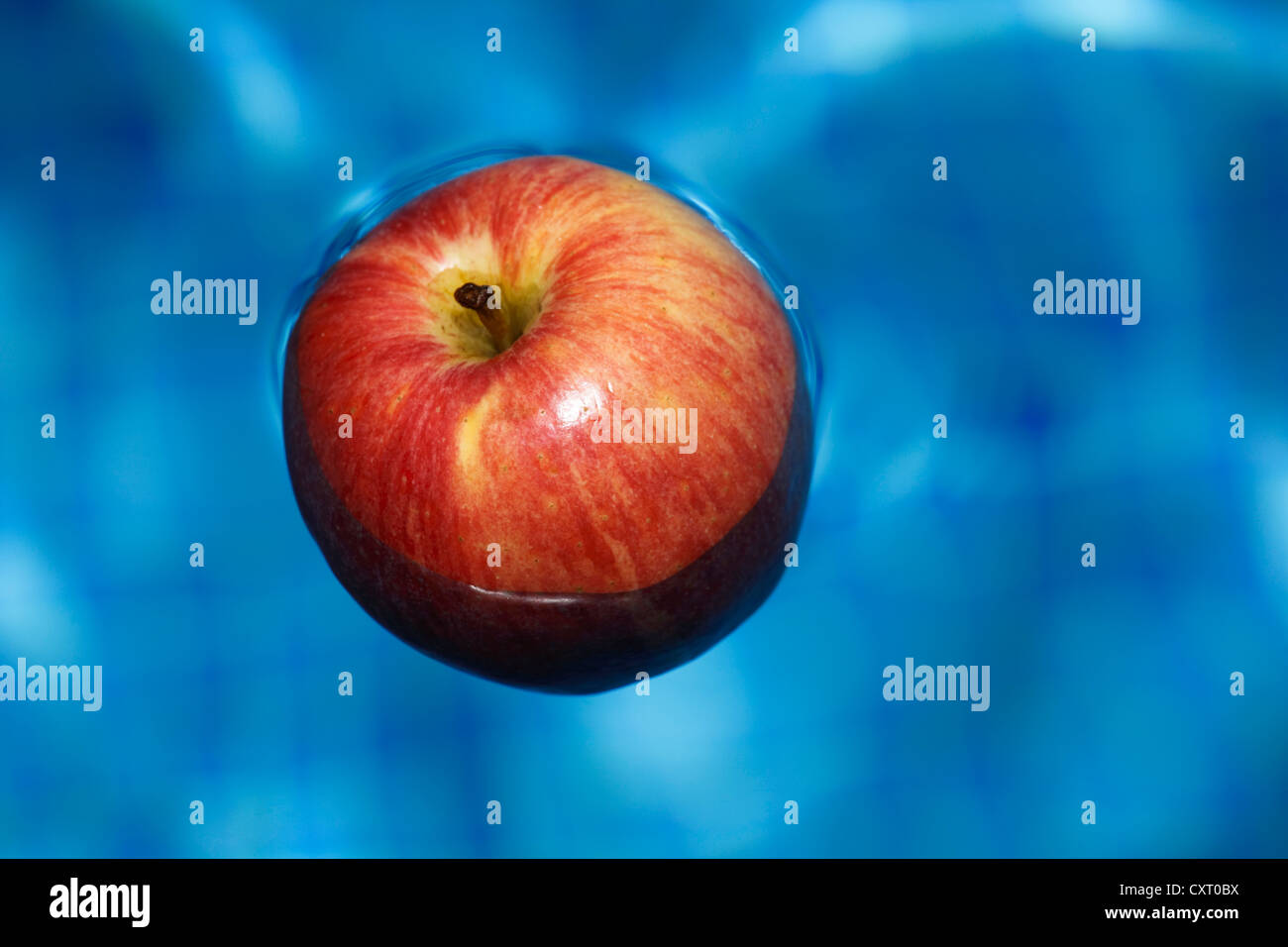 Apple floating on the surface of a swimming pool Stock Photo