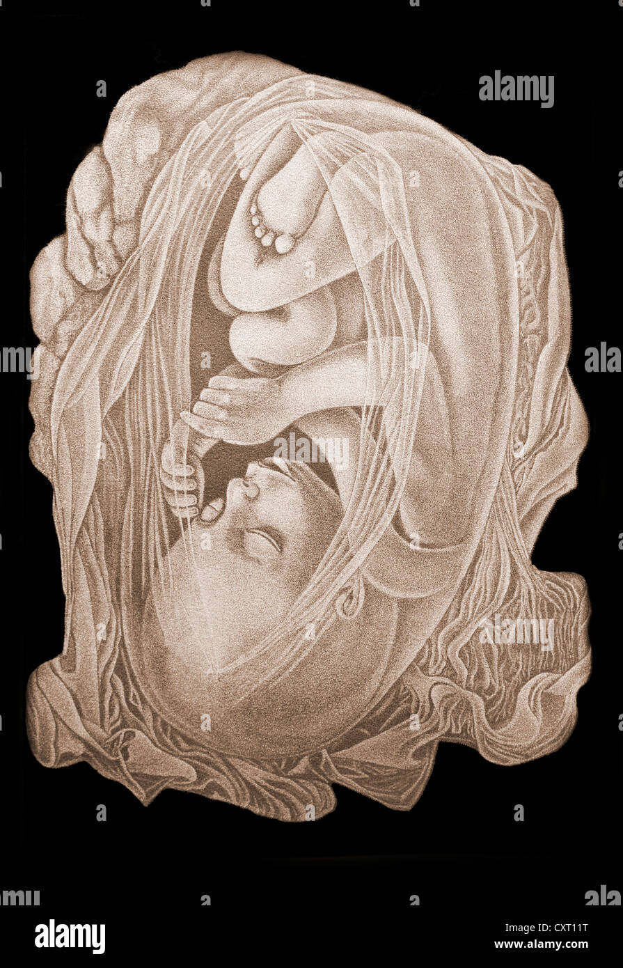 Embryo, anatomical illustration Stock Photo