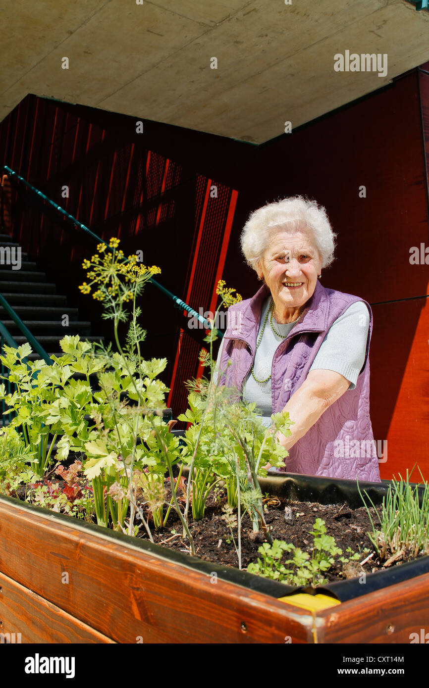 Old woman standing next to a raised bed Stock Photo