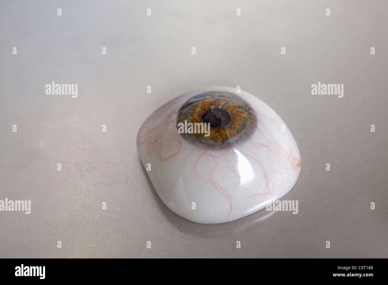 Artificial glass eyes hi-res stock photography and images - Alamy