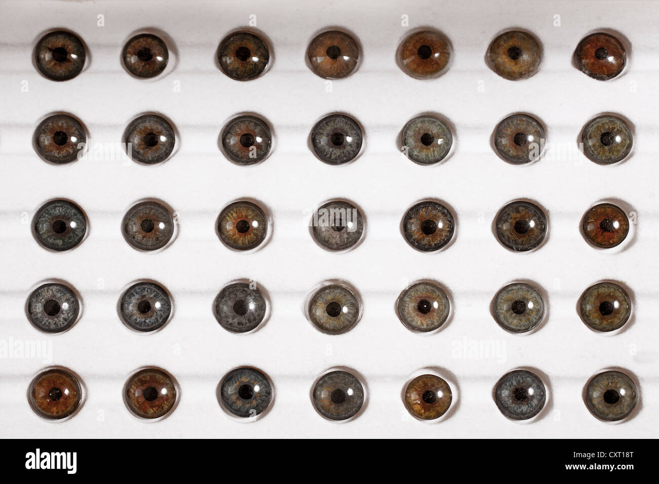 Plastic lenses hires stock photography and images Alamy