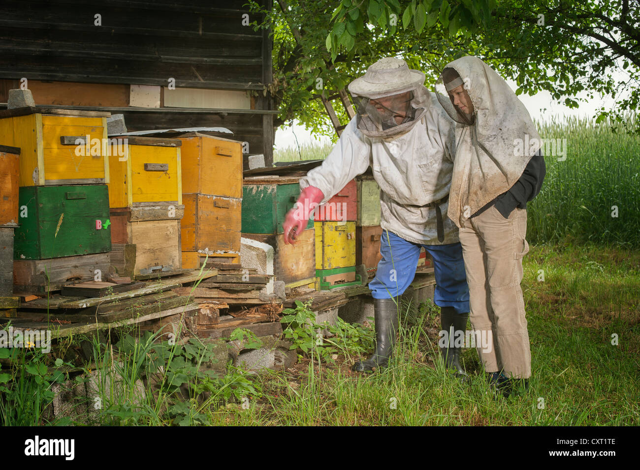 Beekeeper explaining his craft Stock Photo