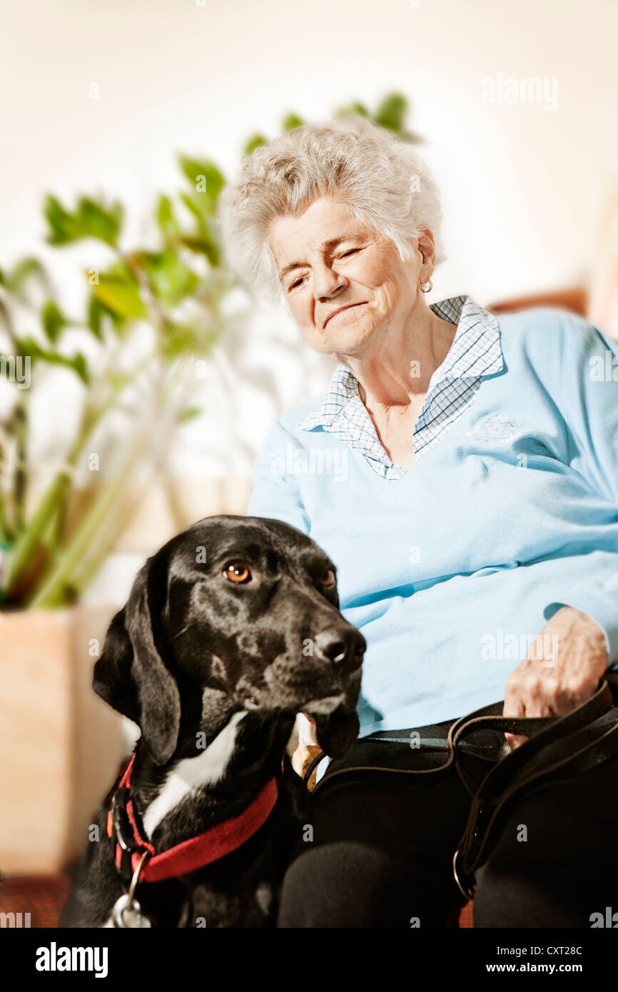 Elderly woman with a therapy dog in a nursing home Stock Photo