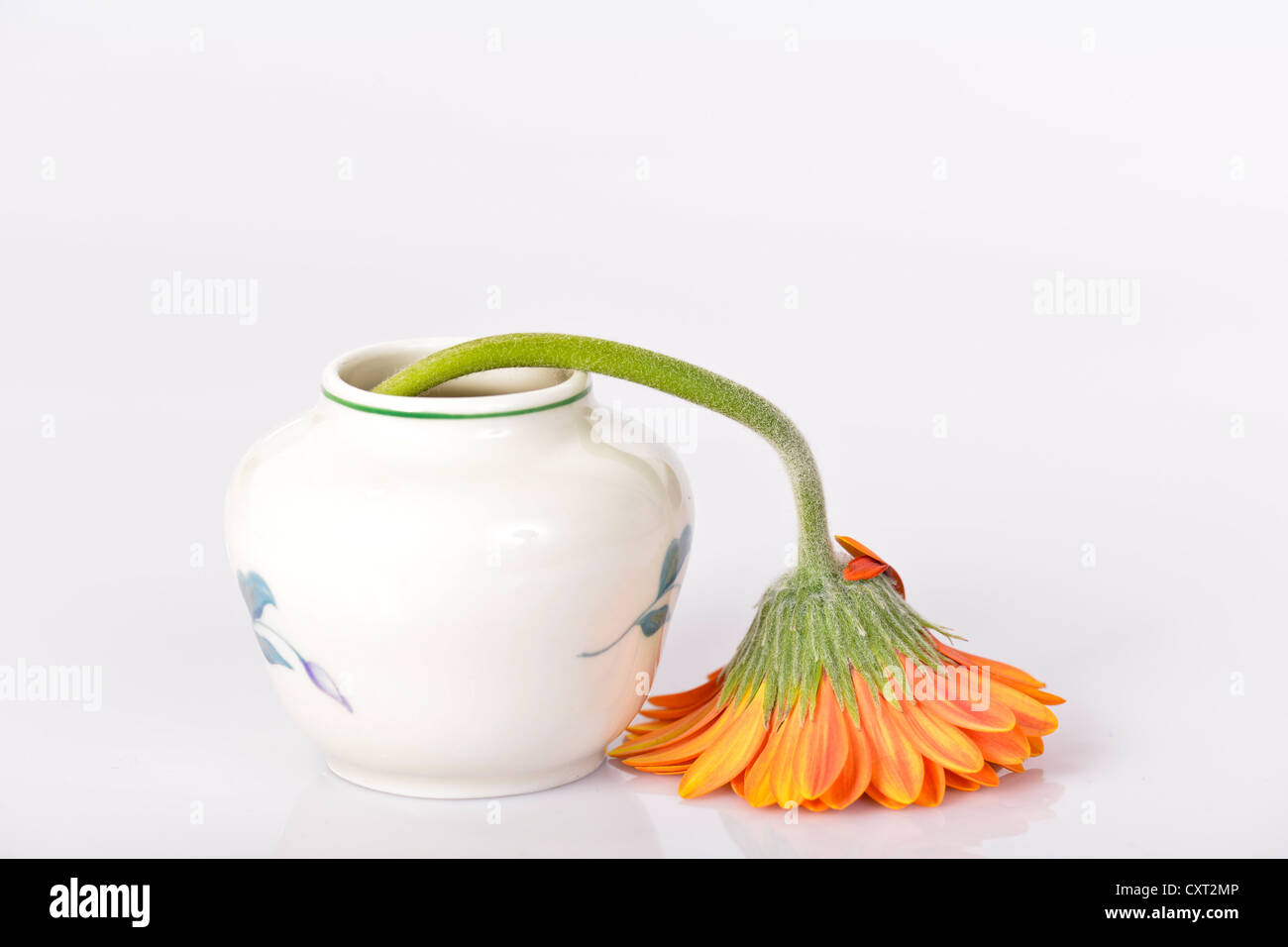 Drooping Flowers High Resolution Stock Photography and Images - Alamy
