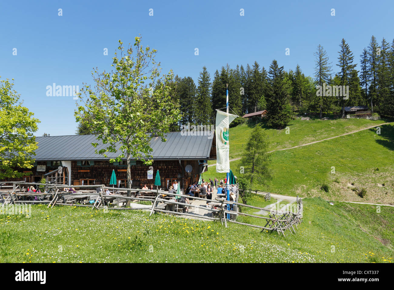 Gindelalm alp near Schliersee, Mangfall Mountains, Bavarian Prealps, Upper Bavaria, Bavaria, Germany, Europe, PublicGround Stock Photo