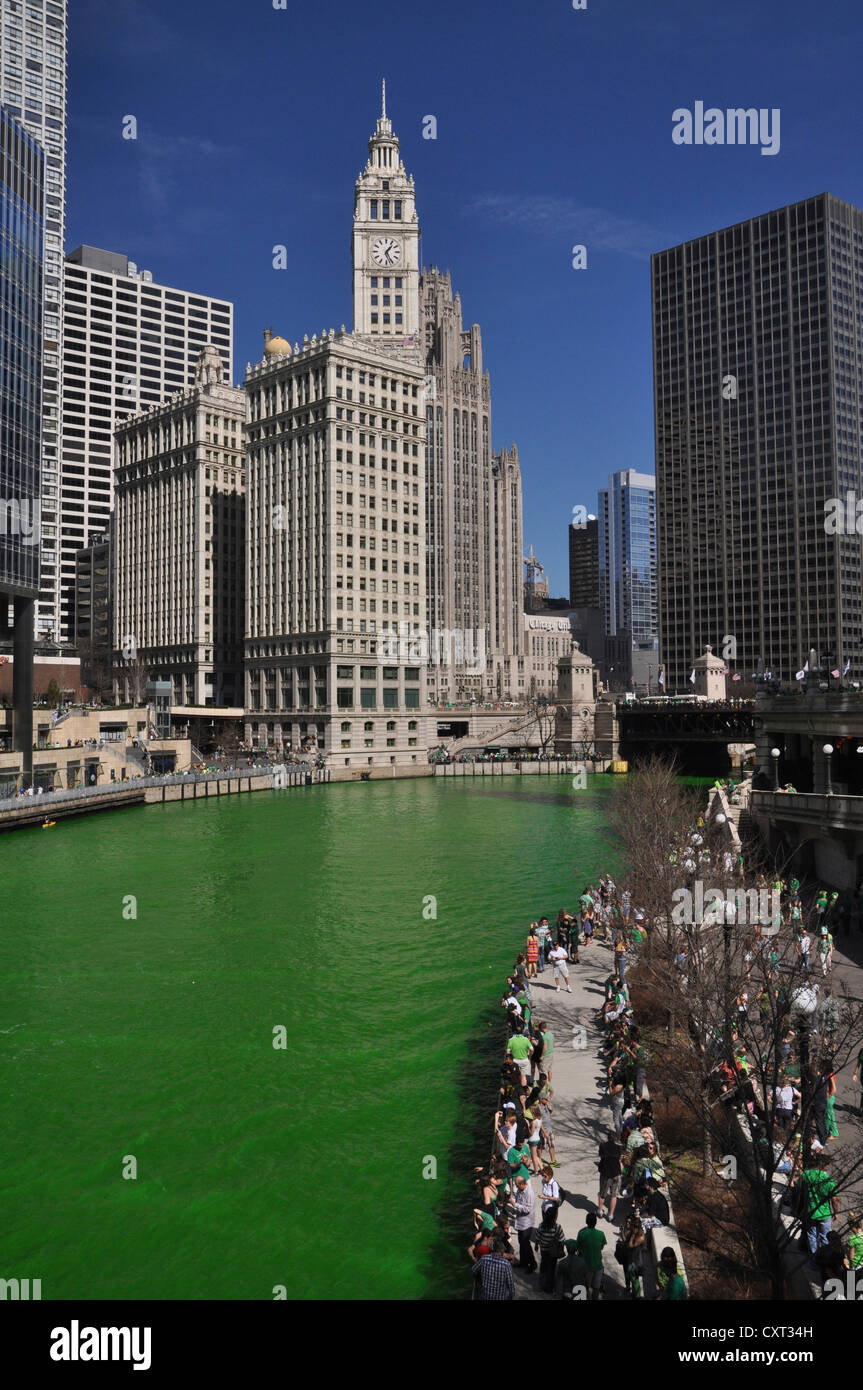 Chicago River dyed green on Saint Patrick's Day, Wrigley Building, Chicago, Illinois, USA Stock Chicago River dyed green on Saint Patrick's Day, Wrigley Building, Chicago, Illinois, USA Stock