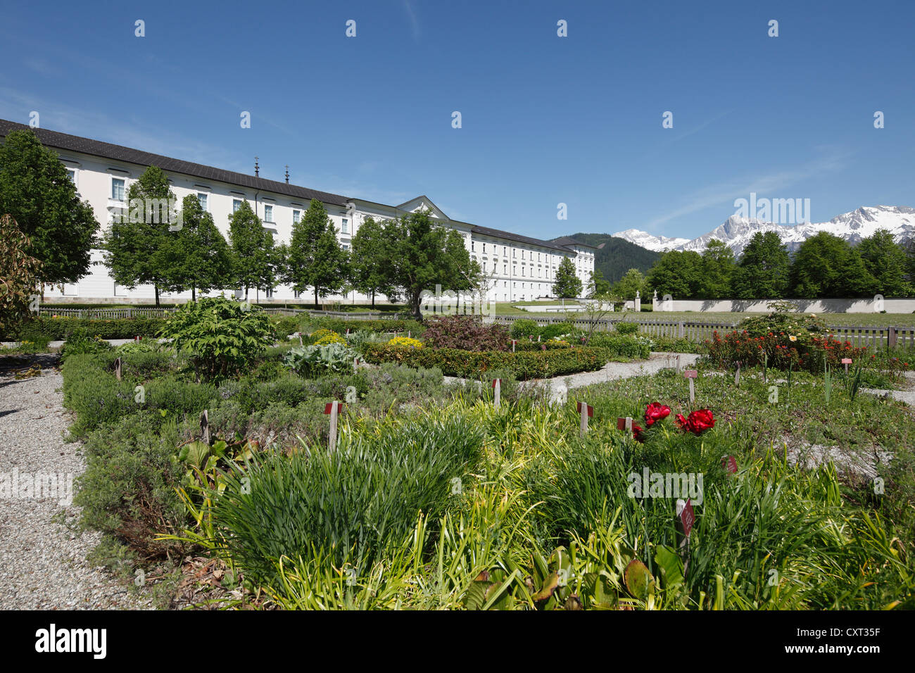 Herb garden, Admont Abbey, a Benedictine monastery, Upper Styria, Styria, Austria, Europe Stock Photo