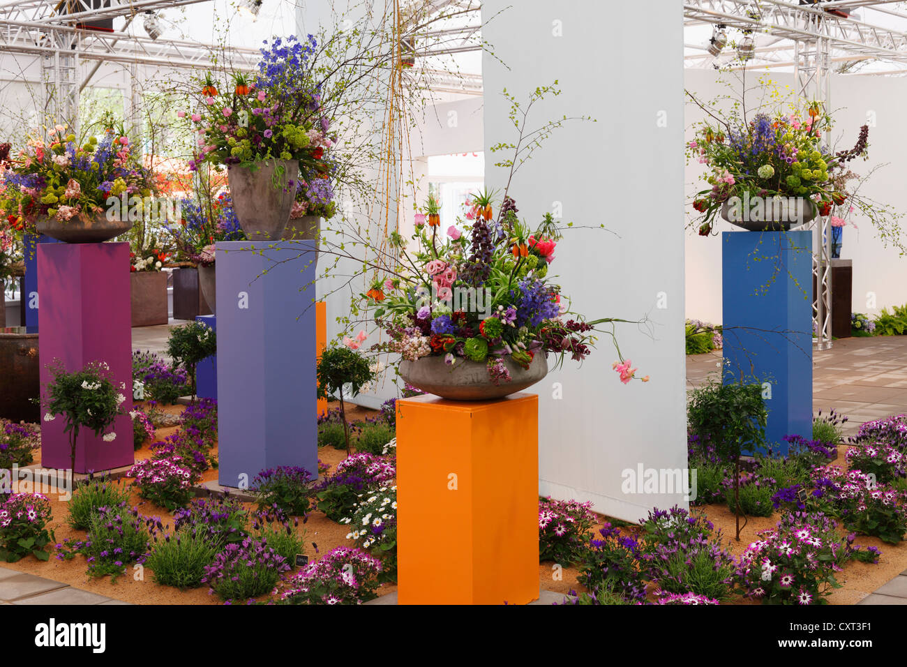 Flower arrangements in the floral hall, Bavarian horticultural show 2012 in Bamberg, Upper Franconia, Franconia, Bavaria Stock Photo