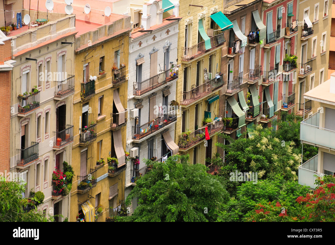 Row of houses in Barcelona, Catalonia, Spain, Europe Stock Photo