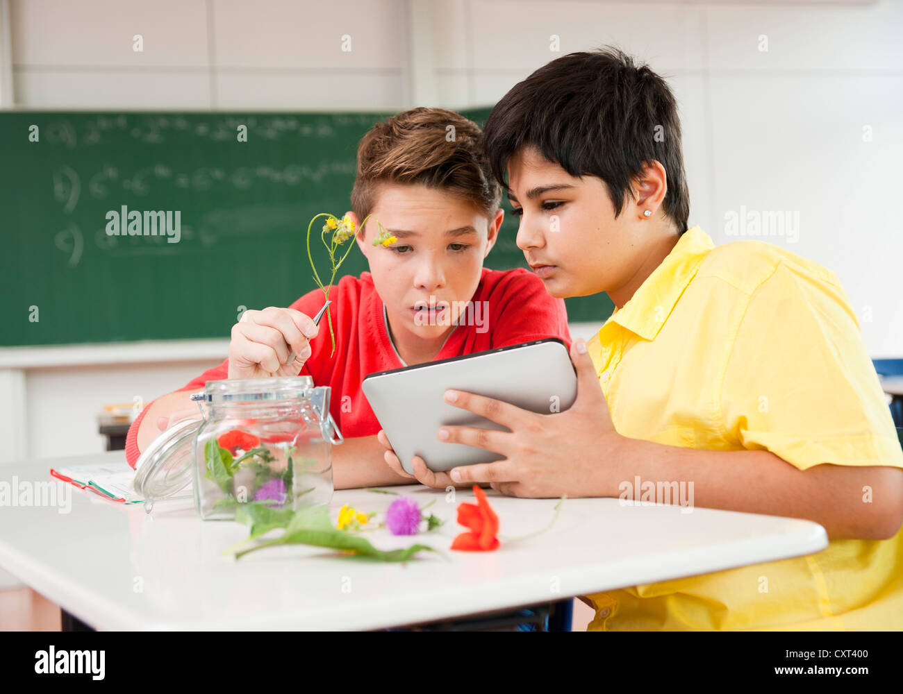 Schoolchildren studying plants during a biology lesson Stock Photo Alamy