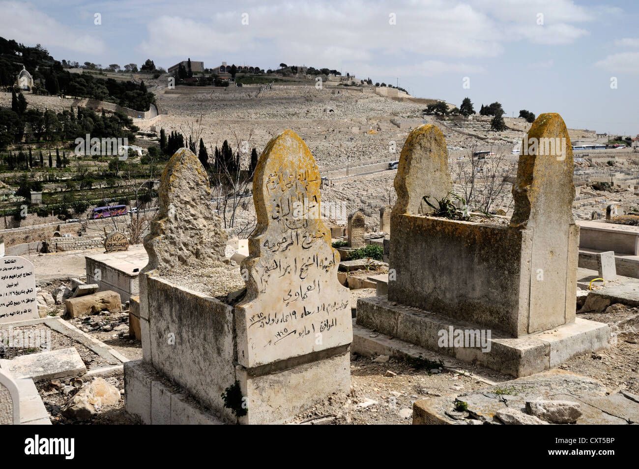 Arab Cemetery and the Mount of Olives, Jerusalem, Israel, Middle East Stock Photo