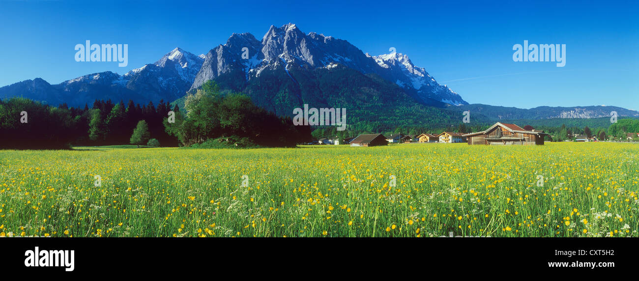 Spring meadow with Mt Zugspitze near Grainau, Bavarian Alps, Upper Bavaria, Bavaria, Germany, Europe Stock Photo