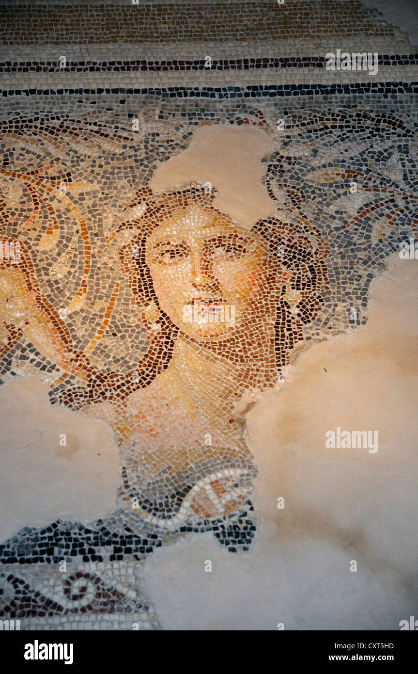 Monalisa hi-res stock photography and images - Alamy