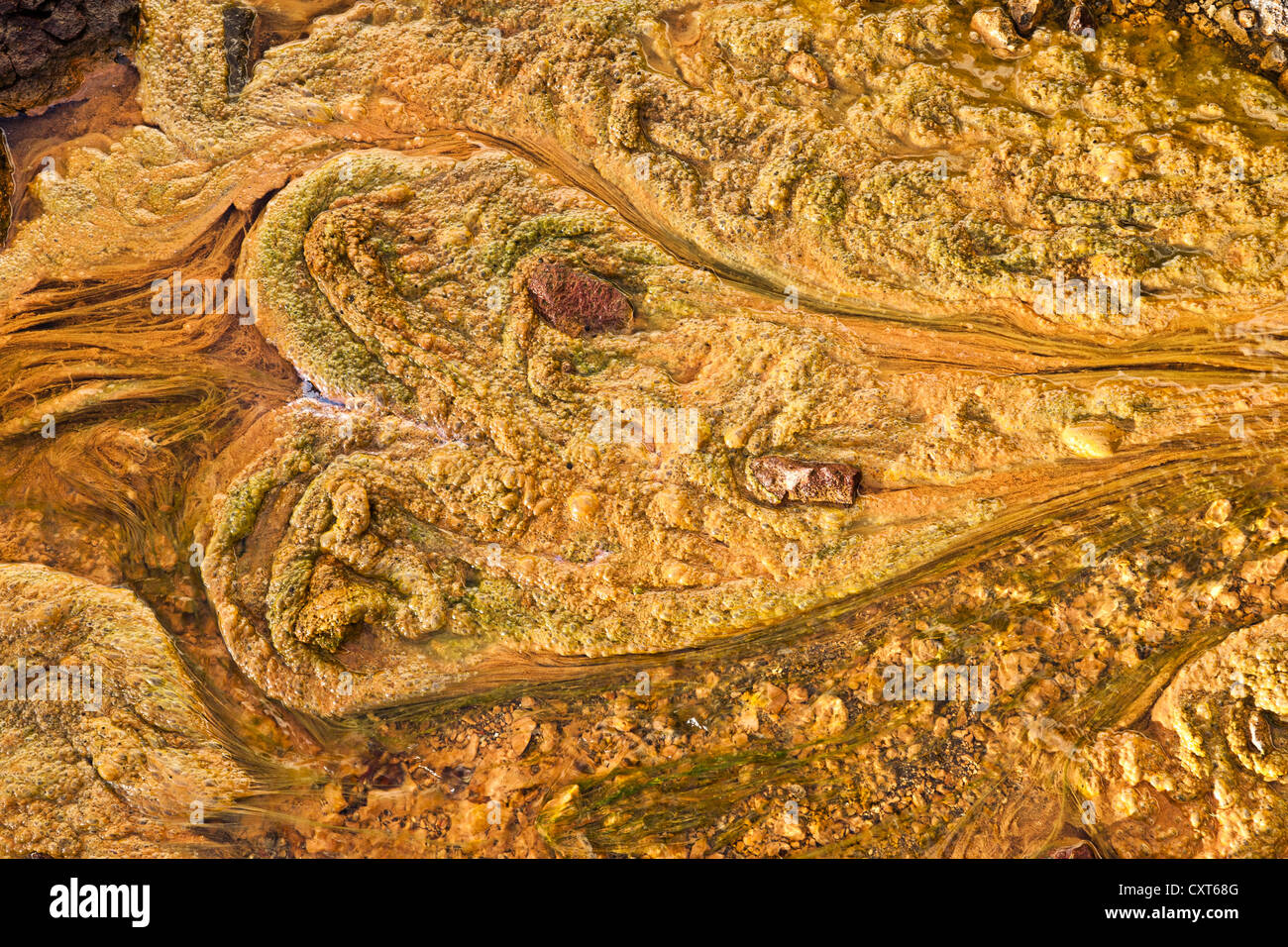 Detail of structures formed by coloured minerals, earth and water in the geothermal area of Kaldaklofsfjoell Stock Photo