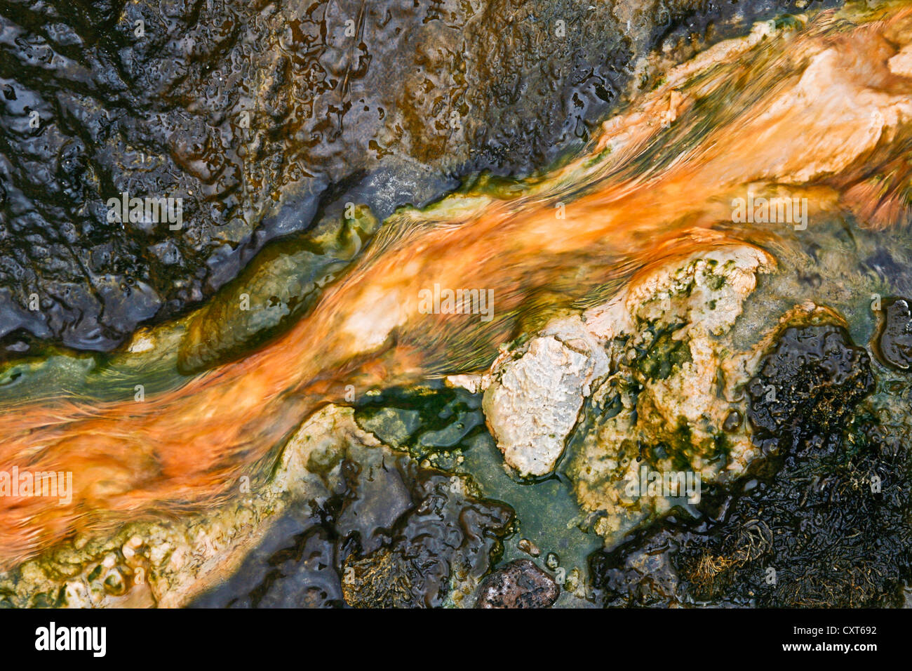 Detail of structures formed by algae, coloured minerals and water in the geothermal area and valley of Hverager i Stock Photo