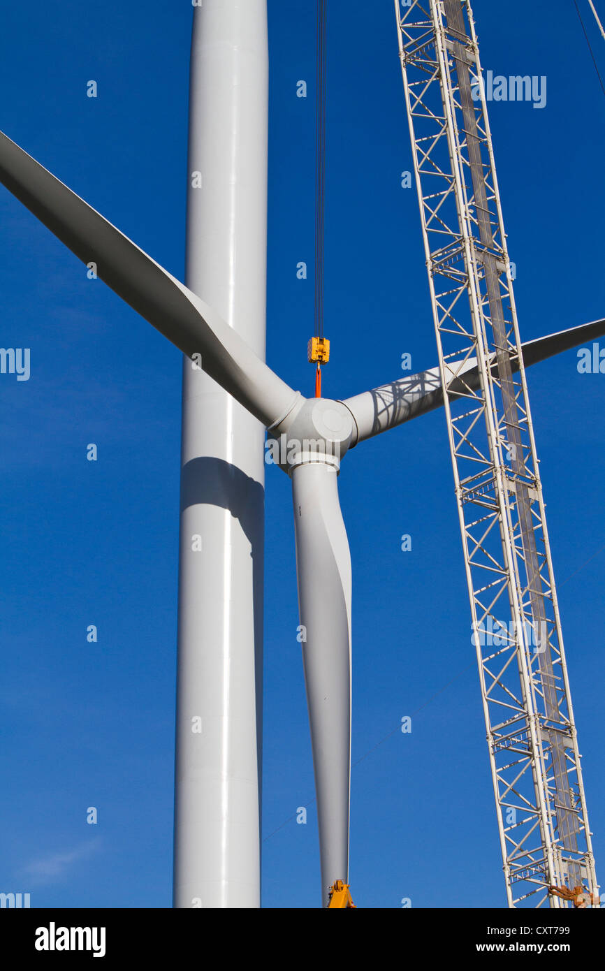 Construction of a wind turbine for EVN and Wien Energie, Windpark Glinzendorf, Marchfeld, Lower Austria, Austria, Europe Stock Photo