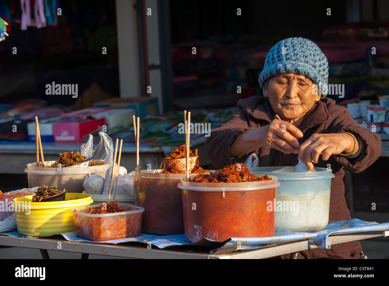 Vendor at a food stall, market, Bin Hin Taek or Therd Thai or Thoed Thai, Northern Thailand, Thailand, Asia Stock Photo