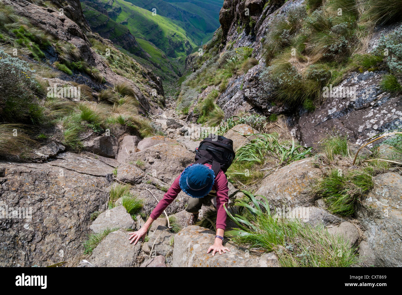 Woman climbing on trail, Sentinel Hiking Trail, Drakensberg Mountains, KwaZulu-Natal, South Africa, Africa Stock Photo