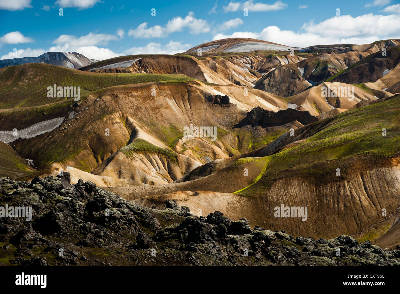 Mast stupor videoda jinsiy aloqa Blowjob telefon yoqolgan