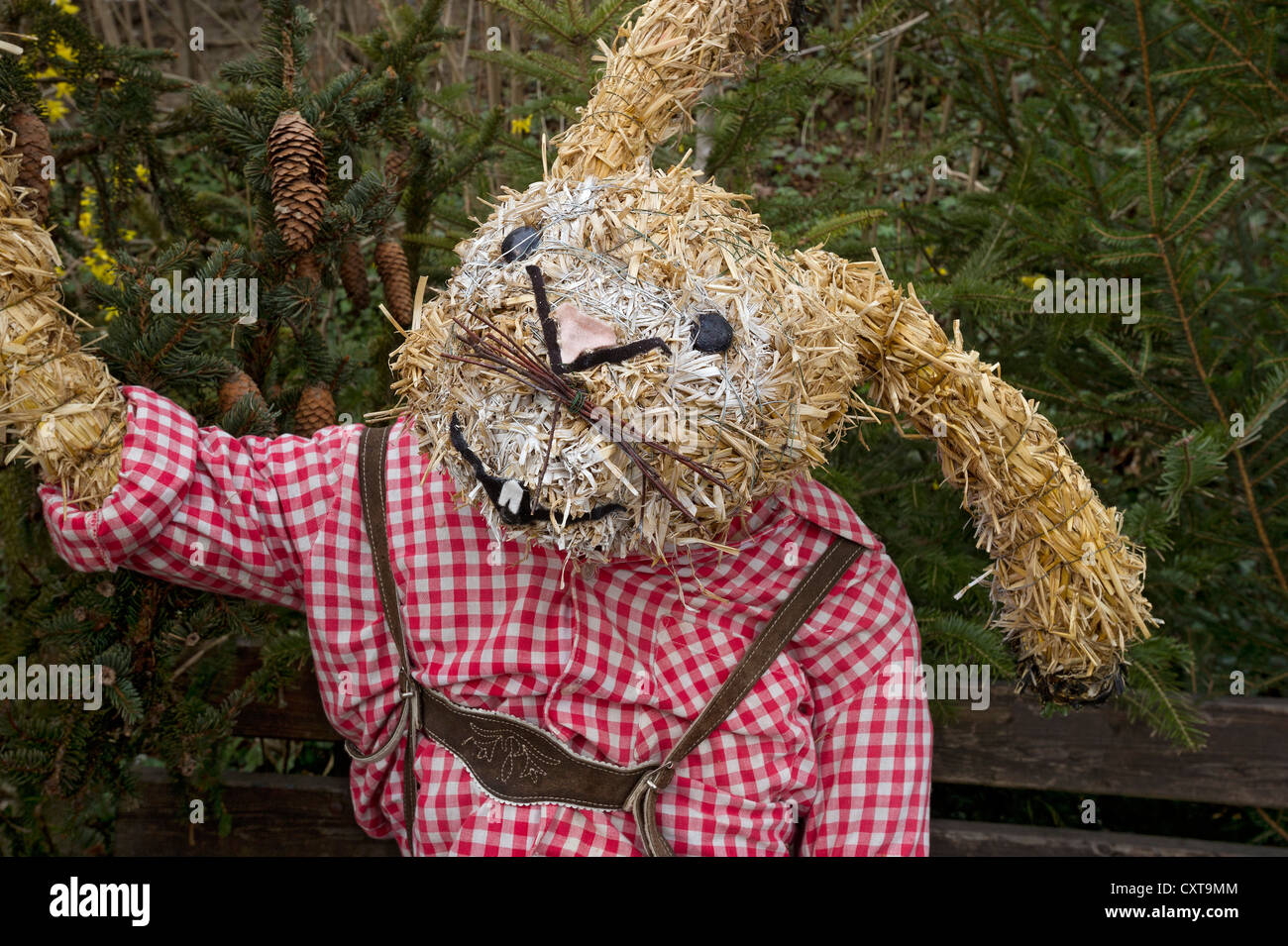 Life size rabbit hi-res stock photography and images - Alamy