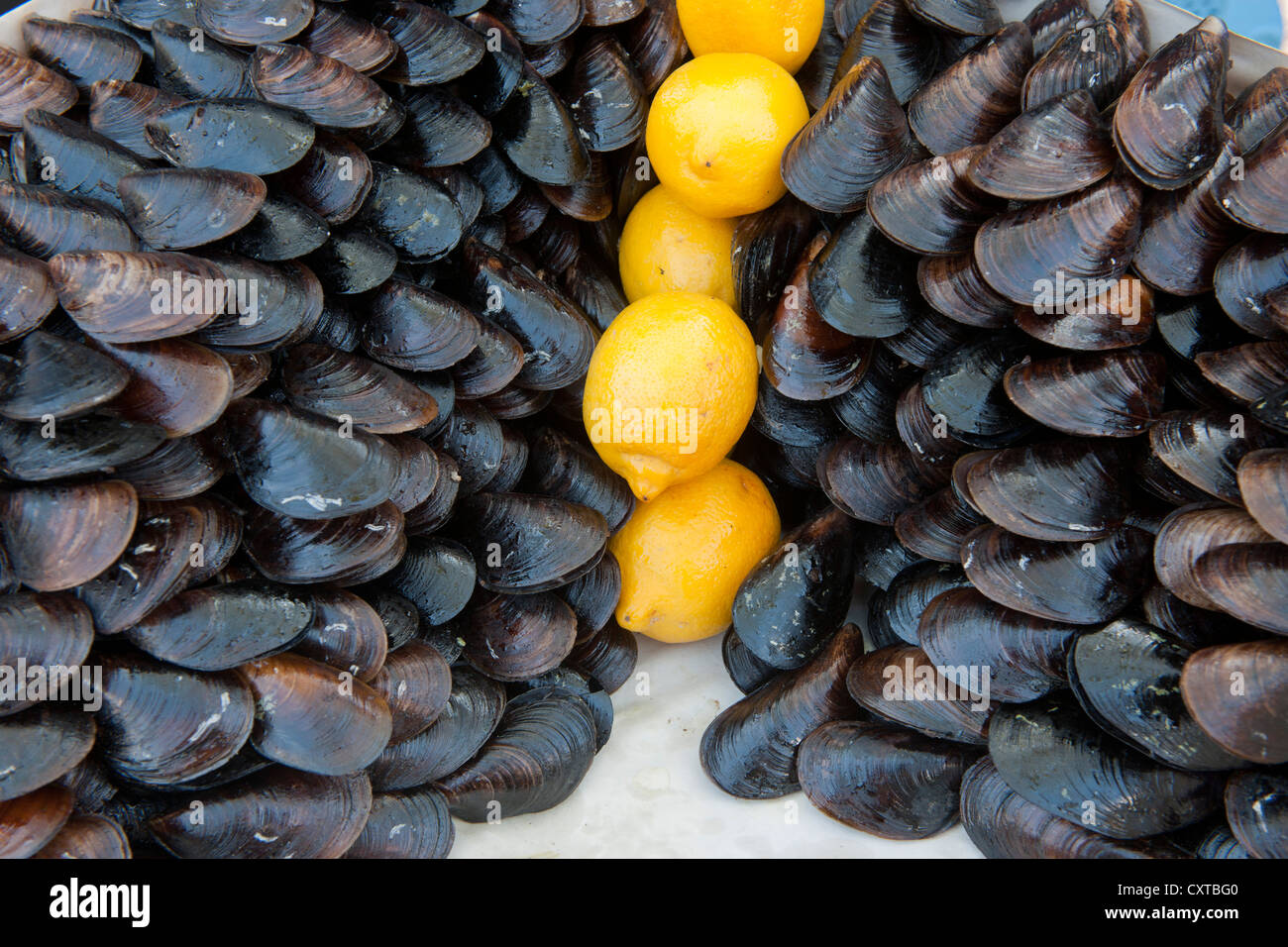 Türkei, Istanbul, Miesmuscheln mit Zitrone Stock Photo