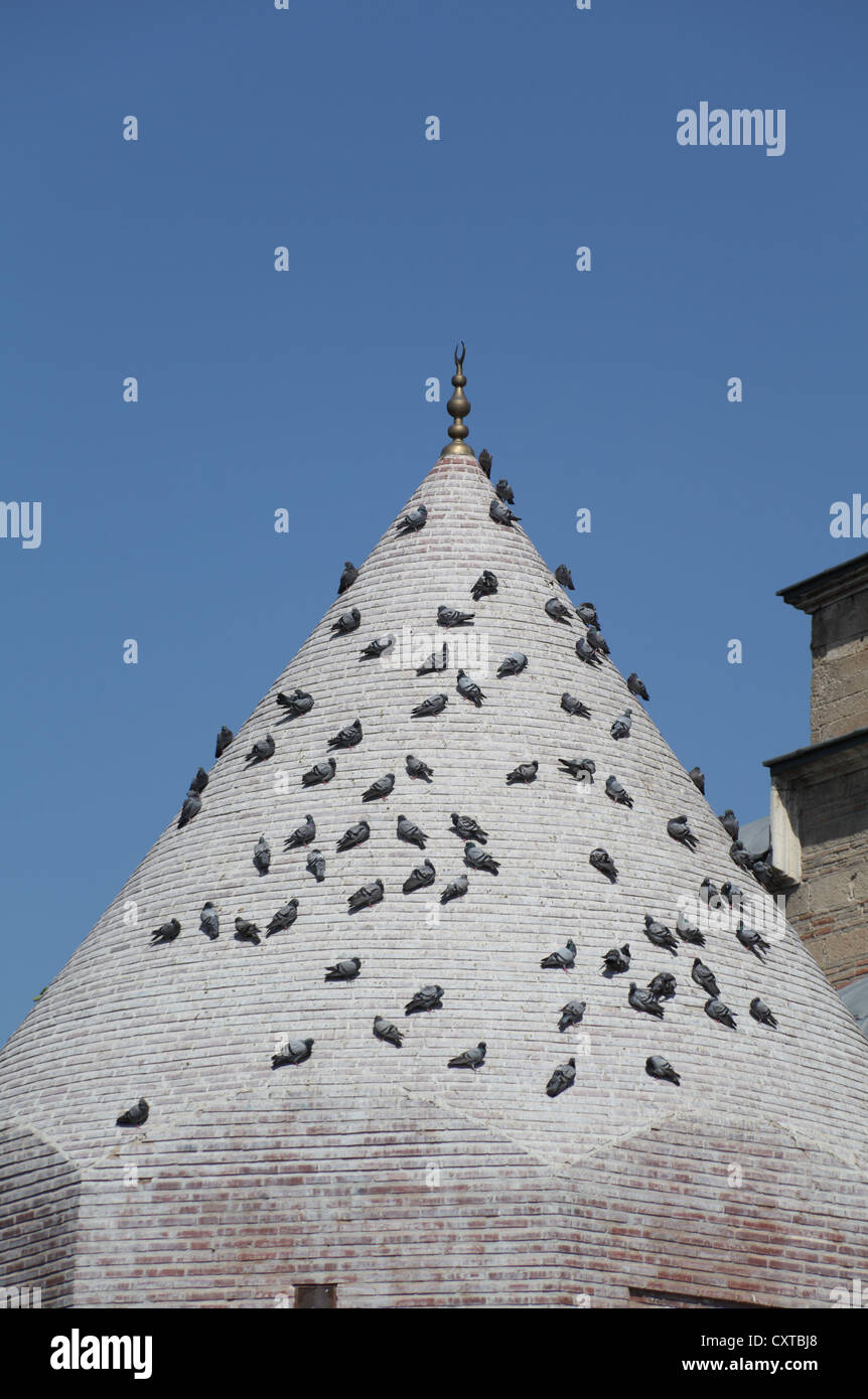 Conical roof of Seljuk memorial tomb of Seyh Serafettin, 13th century, with pigeons in central Konya, Turkey Stock Photo