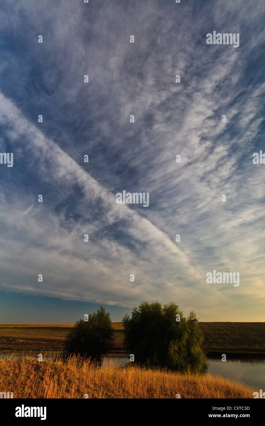 Trees on rural field hi-res stock photography and images - Alamy