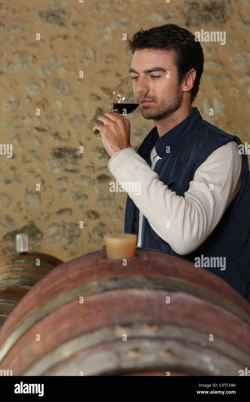 Wine tasting in the cellar man Stock Photo