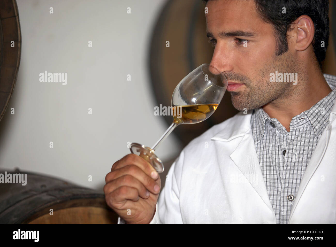 professional tasting white wine Stock Photo - Alamy
