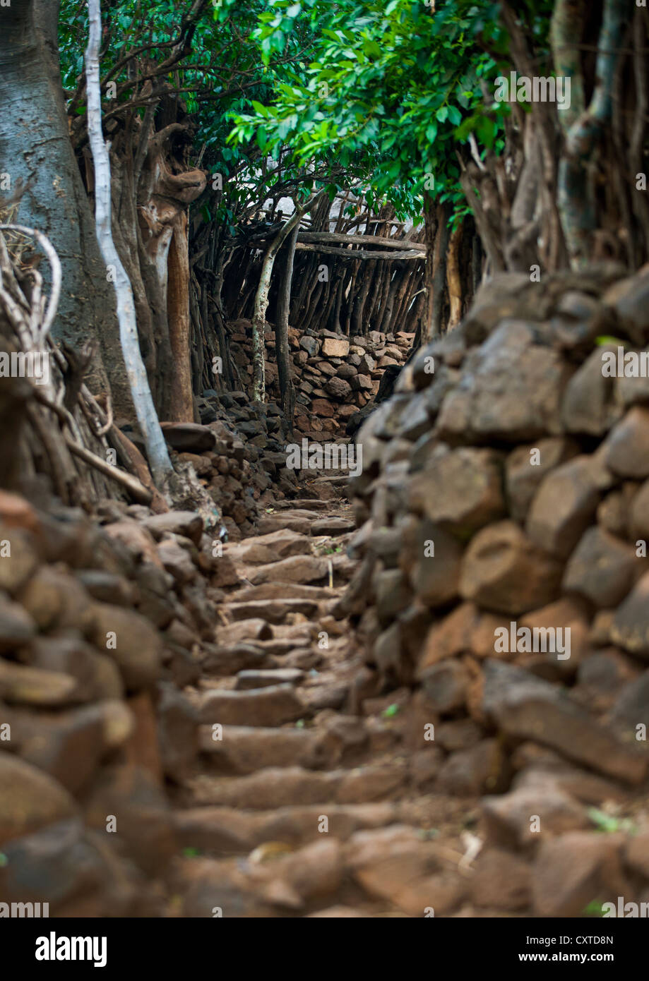 Security System, Fences In Konso Tribe's Village, Omo Valley, Ethiopia Stock Photo Alamy
