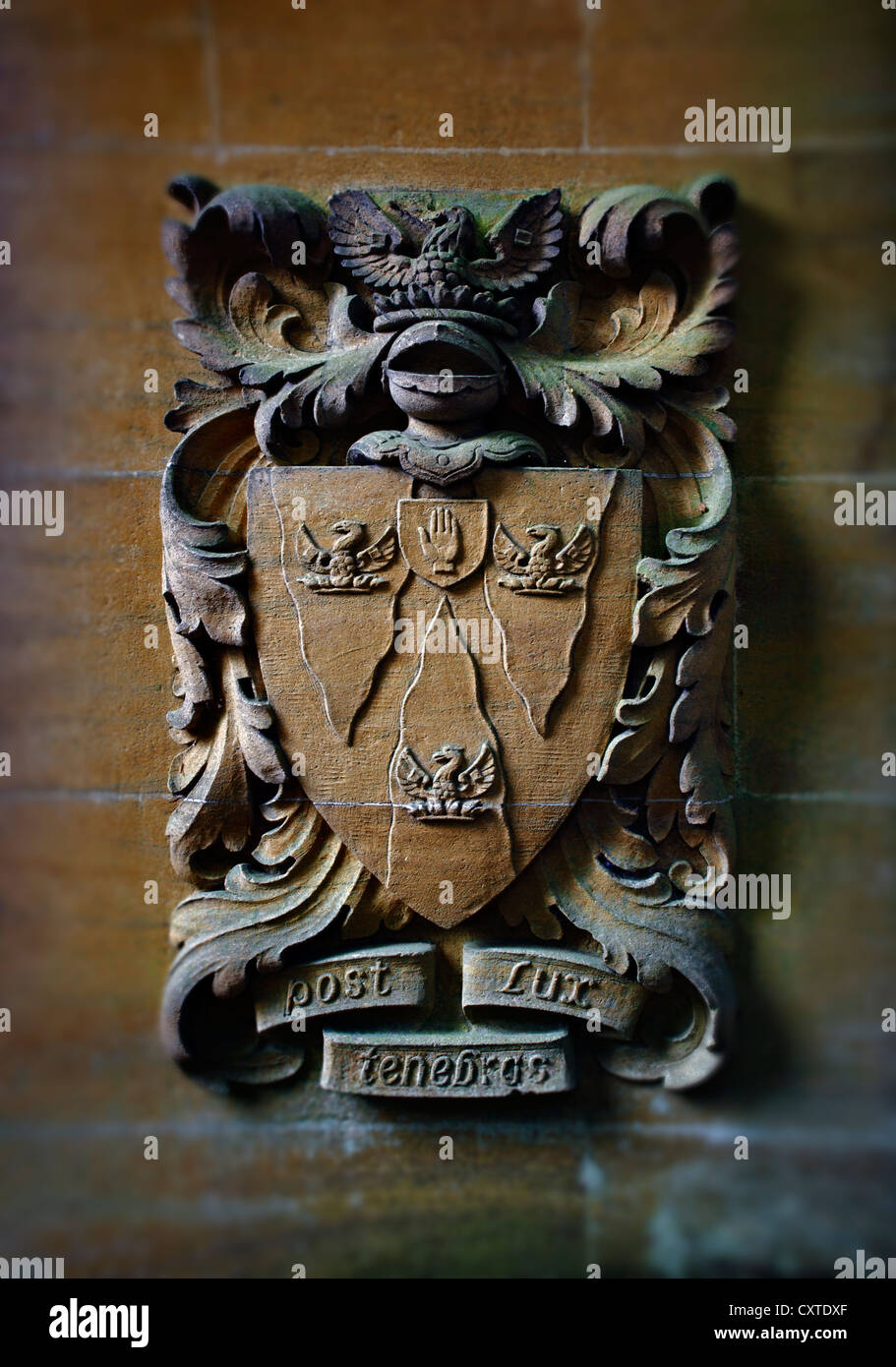Family coat of Arms. Stock Photo