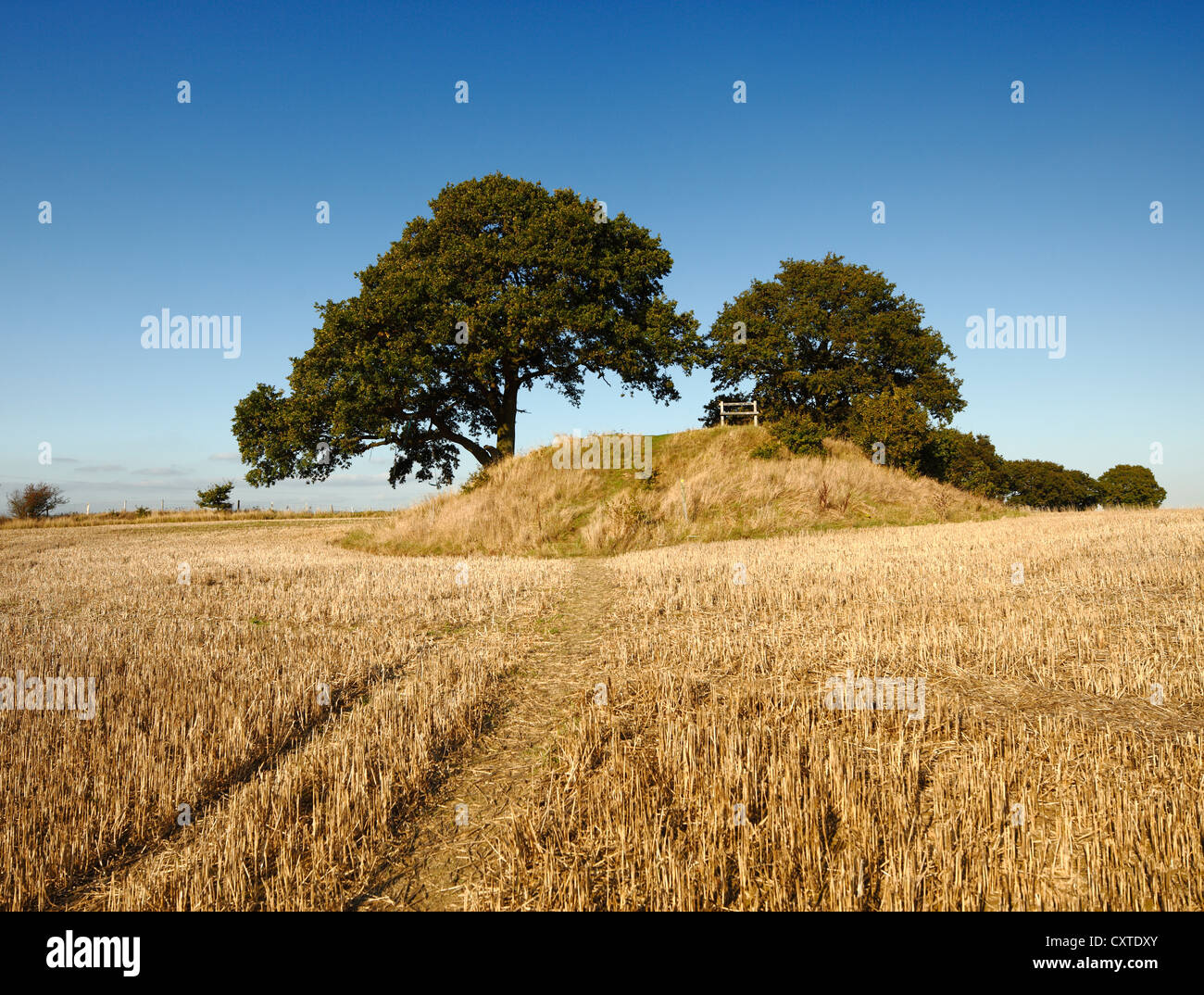 The Appledore Round Barrow, burial mound. Stock Photo
