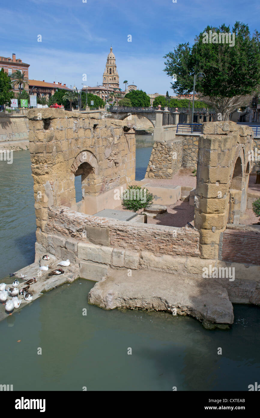 The Segura River with Puente Viejo and Murcia Cathedral Bell Tower in the background, City of Murcia, Spain, Europe Stock Photo