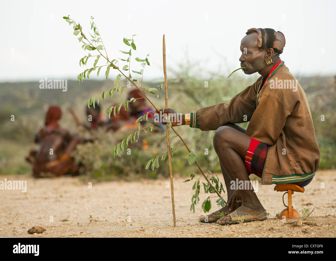 Hamar Tribe Man Sitting On A Headrest At Bull Jumping Ceremony, Turmi, Omo Valley, Ethiopia Stock Photo