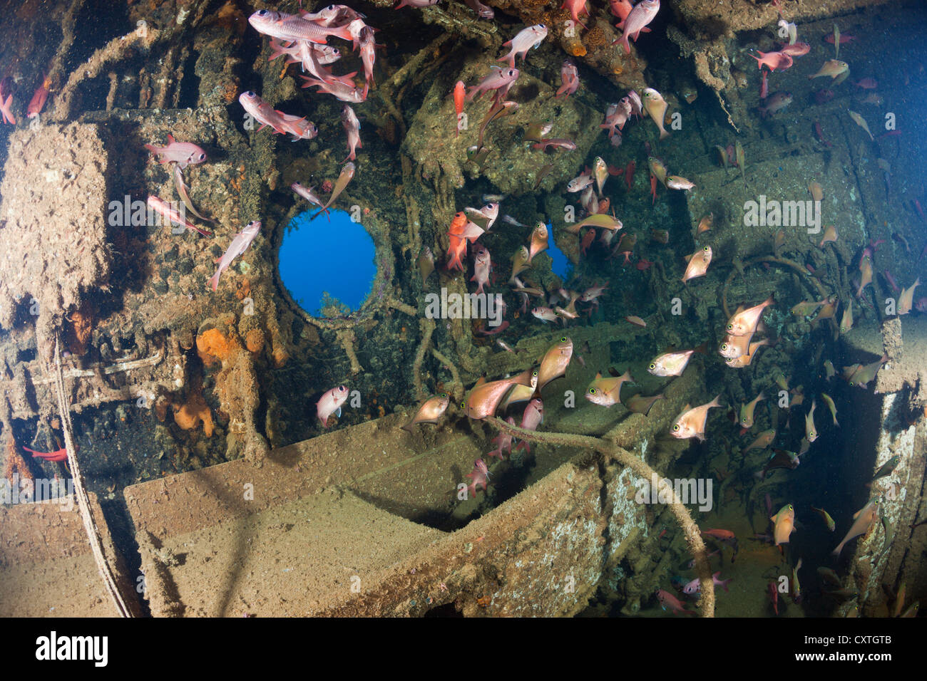 Kitchen inside Maldive Victory Wreck, North Male Atoll, Maldives Stock ...