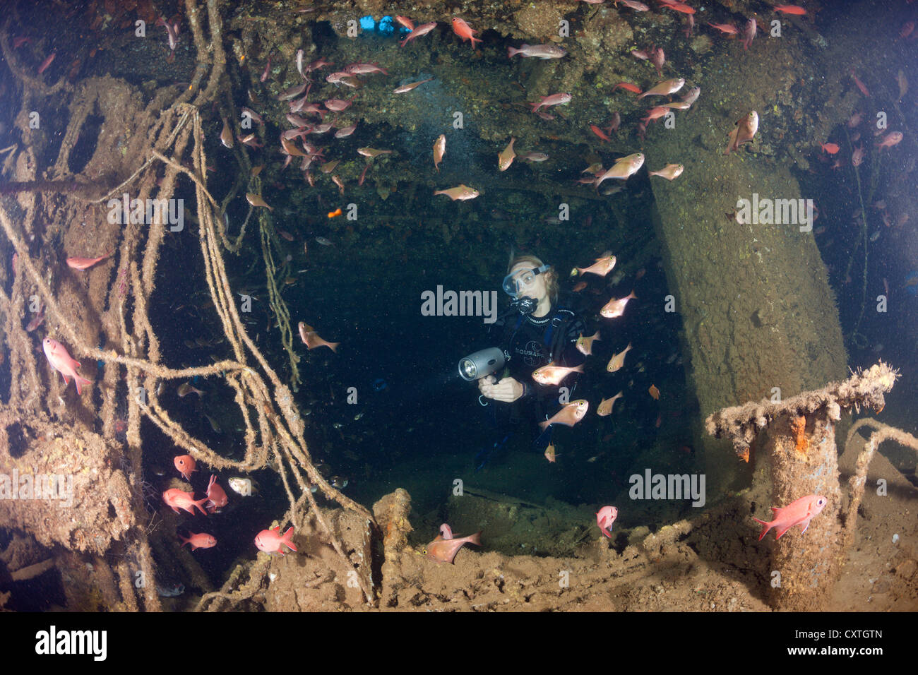 Scuba Diving inside Maldive Victory Wreck, North Male Atoll, Maldives