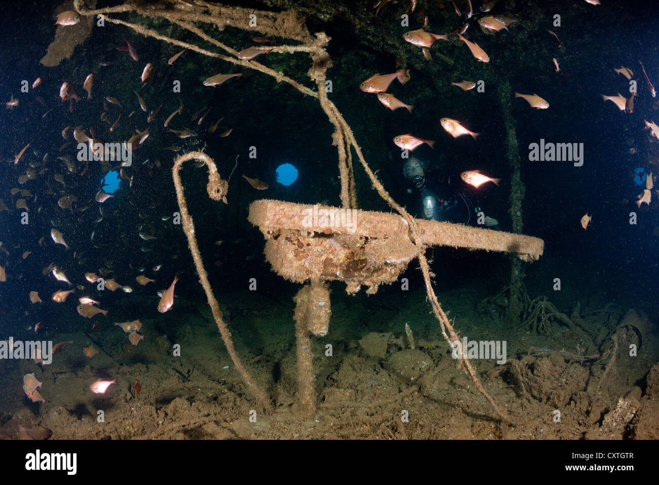 Scuba Diving inside Maldive Victory Wreck, North Male Atoll, Maldives