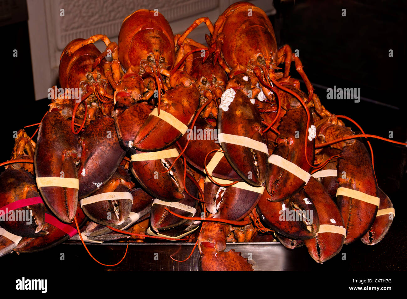 Numerous Cooked red lobsters in a pan ready to be eaten at party Stock Photo