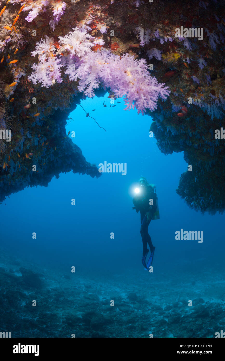Scuba Diver explores Cave, North Male Atoll, Maldives Stock Photo