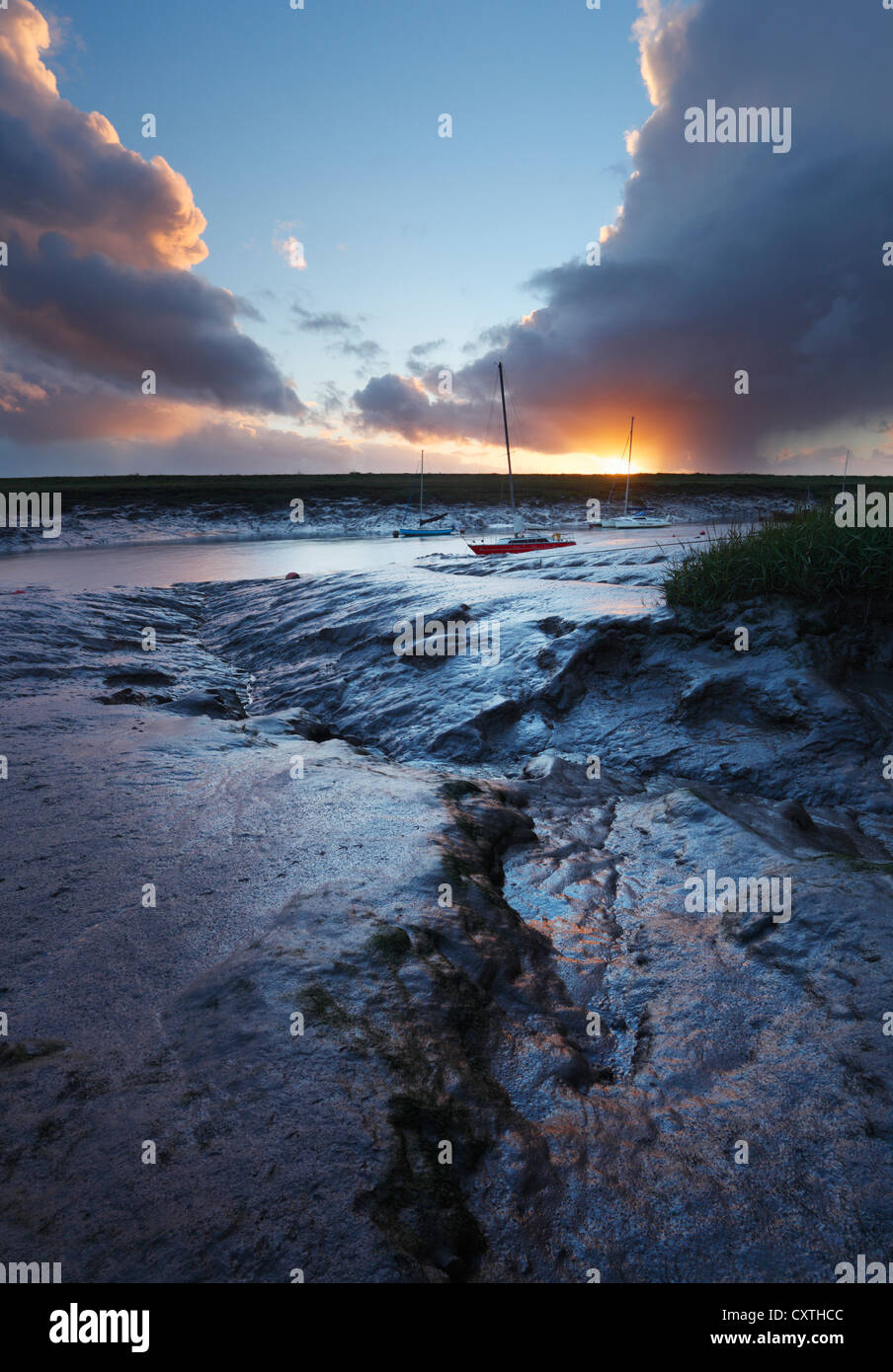 Muddy banks of the River Axe estuary at low tide. Somerset. England. UK. Stock Photo