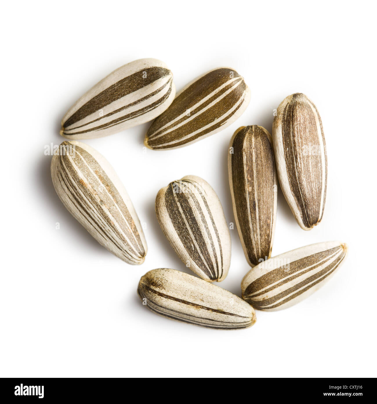 sunflower seeds on white background Stock Photo - Alamy