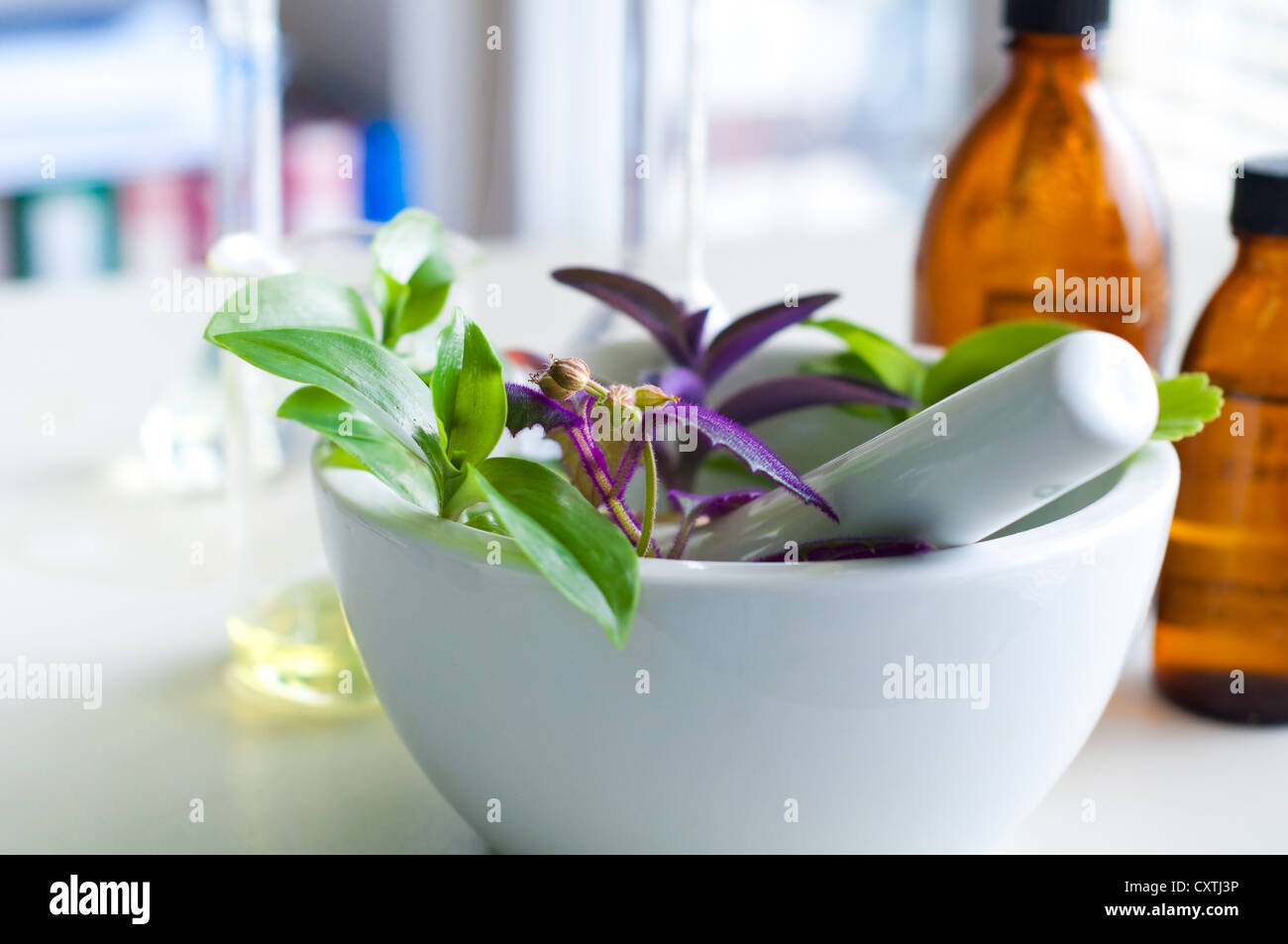 mortar and pestle with herbs with a glass of alternative fuel Stock Photo Alamy