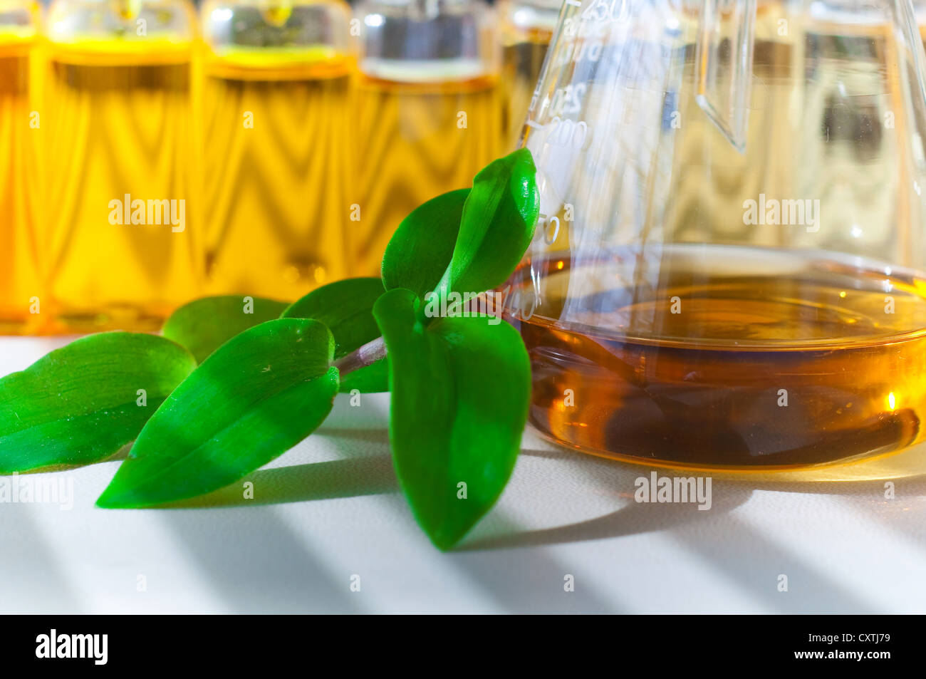 flask alternative fuel plant, which is derived fuel Stock Photo