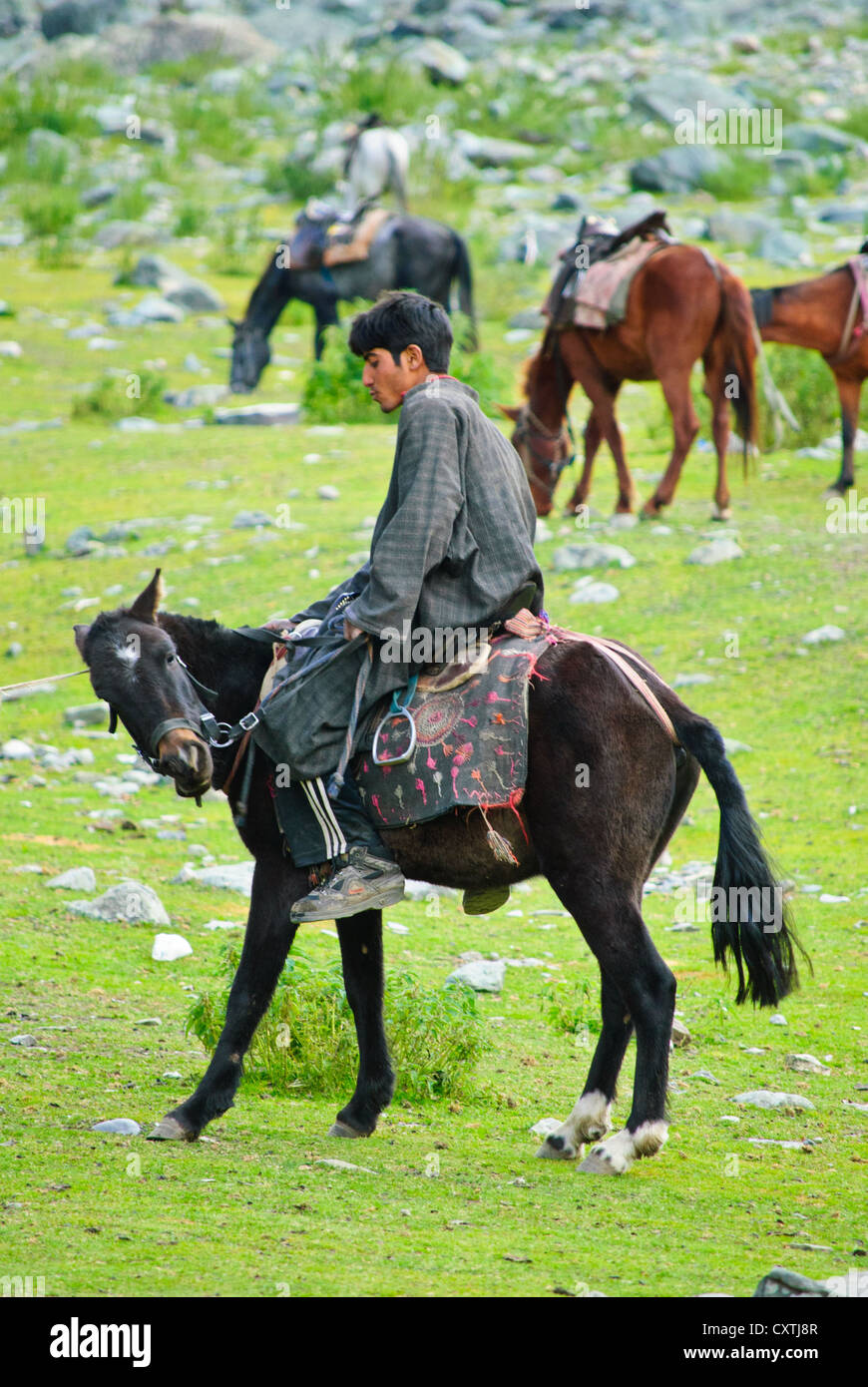Pony rider at Sonamarg, the meadow of gold, valley in Kashmir Stock Photo
