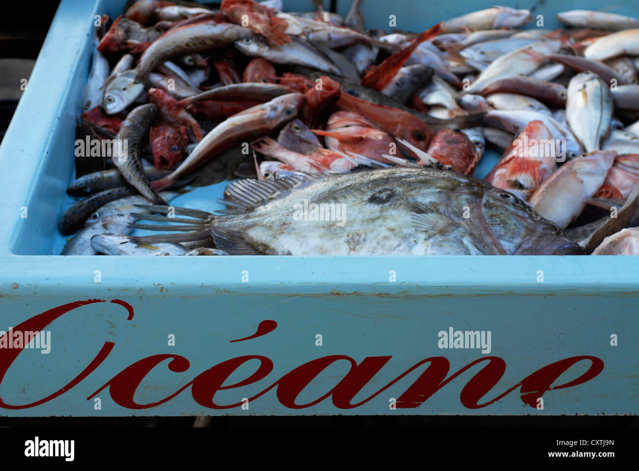 Fish Market, Marche aux Poissons, Au Vieux Port , Marseille, Provence