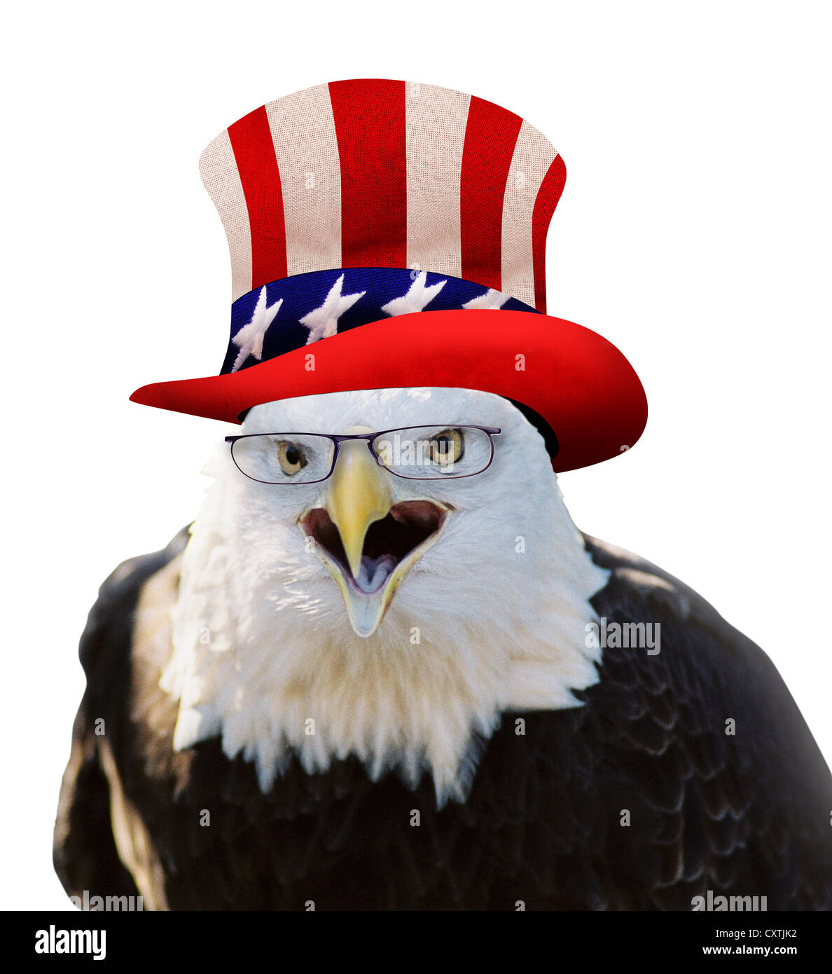 https://c8.alamy.com/comp/CXTJK2/american-bald-eagle-wearing-uncle-hat-CXTJK2.jpg