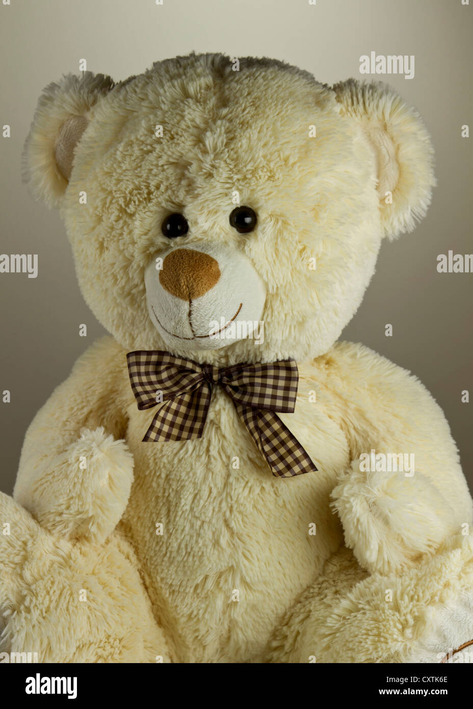 teddy bear with a bow tie