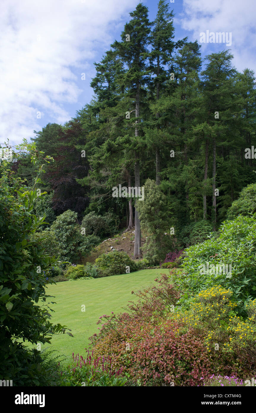 dh Arduaine Gardens LOCH MELFORT ARGYLL Tree grass lawn and flower