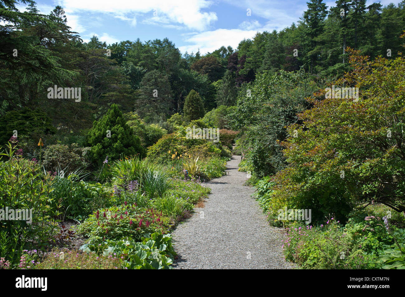 dh Arduaine Gardens LOCH MELFORT ARGYLL Path through garden flowers