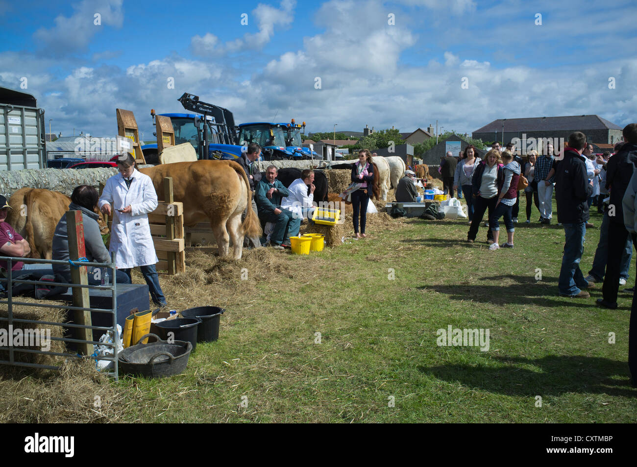 dh West Mainland show DOUNBY ORKNEY Farmers and cattle pens outside show ring Stock Photo